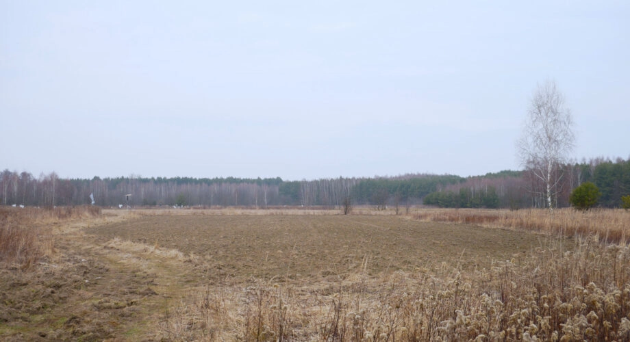 Działka 29,16 ar, Z UZYSKANYMI WARUNKAMI ZABUDOWY