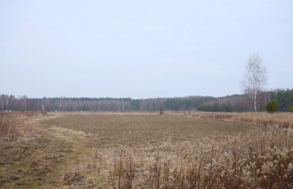 Działka 29,16 ar, Z UZYSKANYMI WARUNKAMI ZABUDOWY