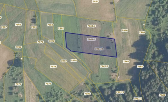 Działka 29,48 ar, Z UZYSKANYMI WARUNKAMI ZABUDOWY