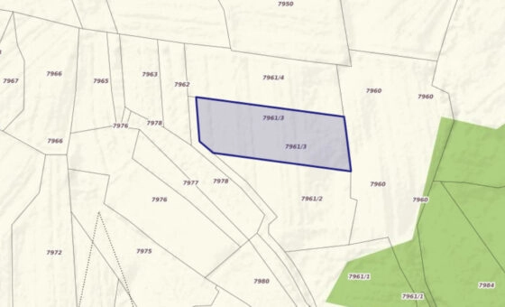 Działka 29,48 ar, Z UZYSKANYMI WARUNKAMI ZABUDOWY