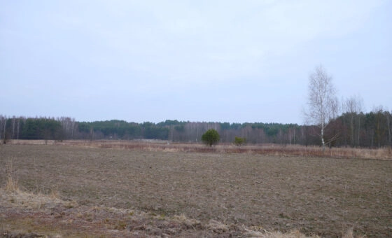 Działka 29,48 ar, Z UZYSKANYMI WARUNKAMI ZABUDOWY