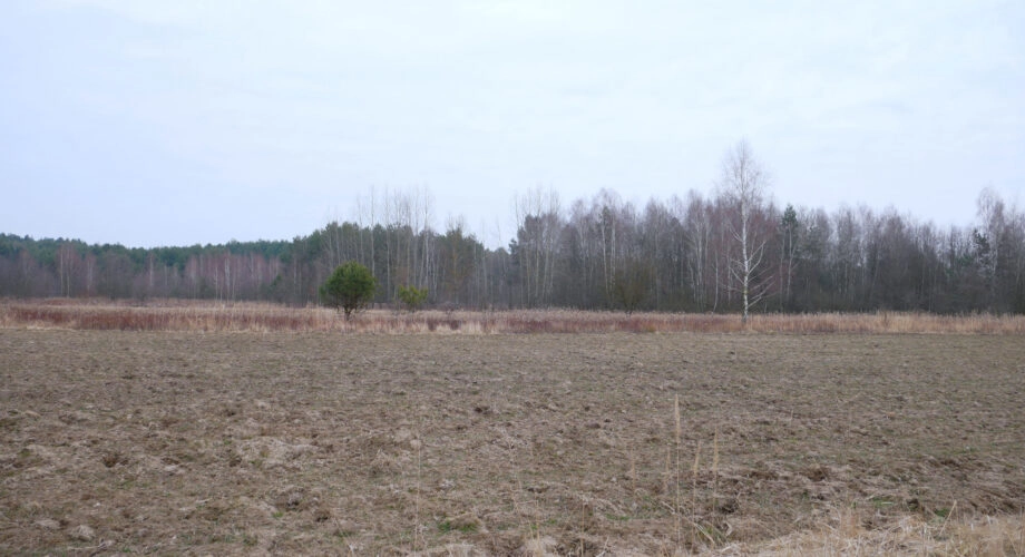 Działka 29,48 ar, Z UZYSKANYMI WARUNKAMI ZABUDOWY