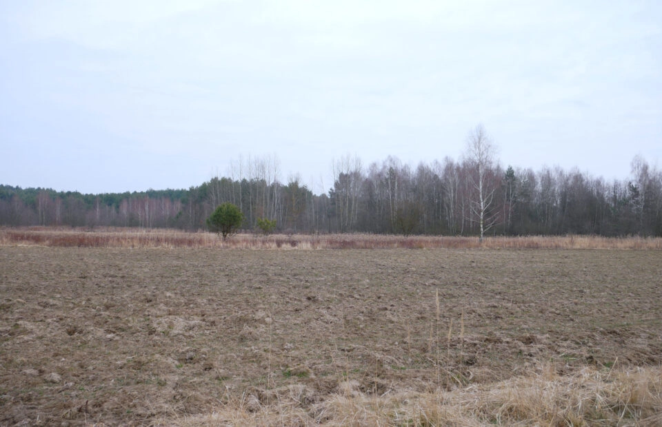 Działka 29,48 ar, Z UZYSKANYMI WARUNKAMI ZABUDOWY