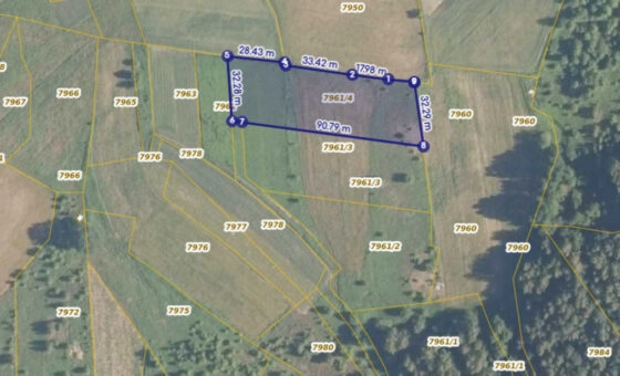 Działka 29,54 ar, Z UZYSKANYMI WARUNKAMI ZABUDOWY