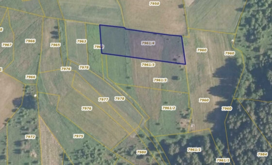 Działka 29,54 ar, Z UZYSKANYMI WARUNKAMI ZABUDOWY