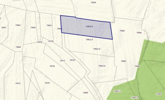 Działka 29,54 ar, Z UZYSKANYMI WARUNKAMI ZABUDOWY