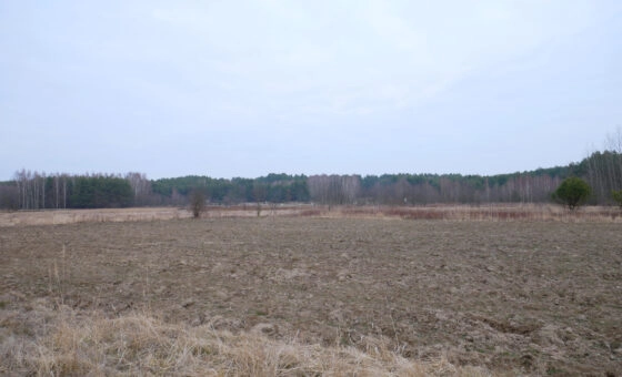 Działka 29,54 ar, Z UZYSKANYMI WARUNKAMI ZABUDOWY