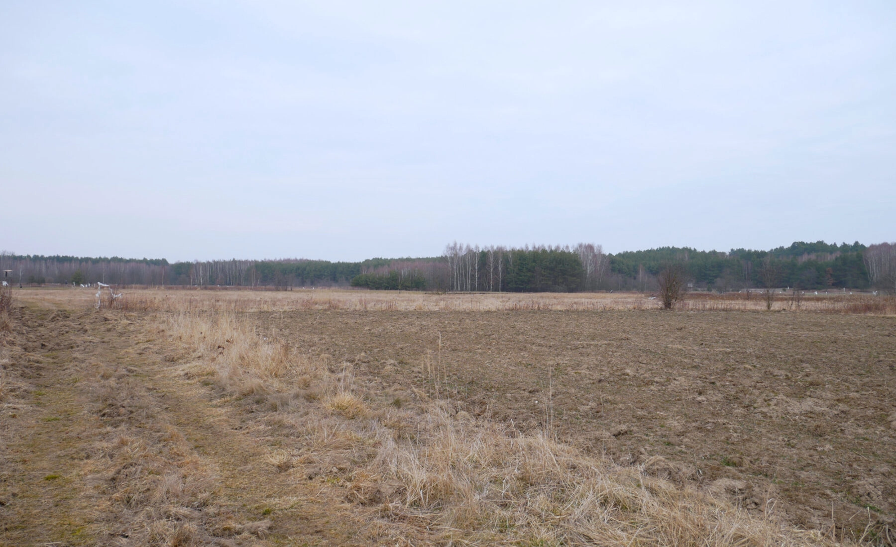 Działka 29,54 ar, Z UZYSKANYMI WARUNKAMI ZABUDOWY