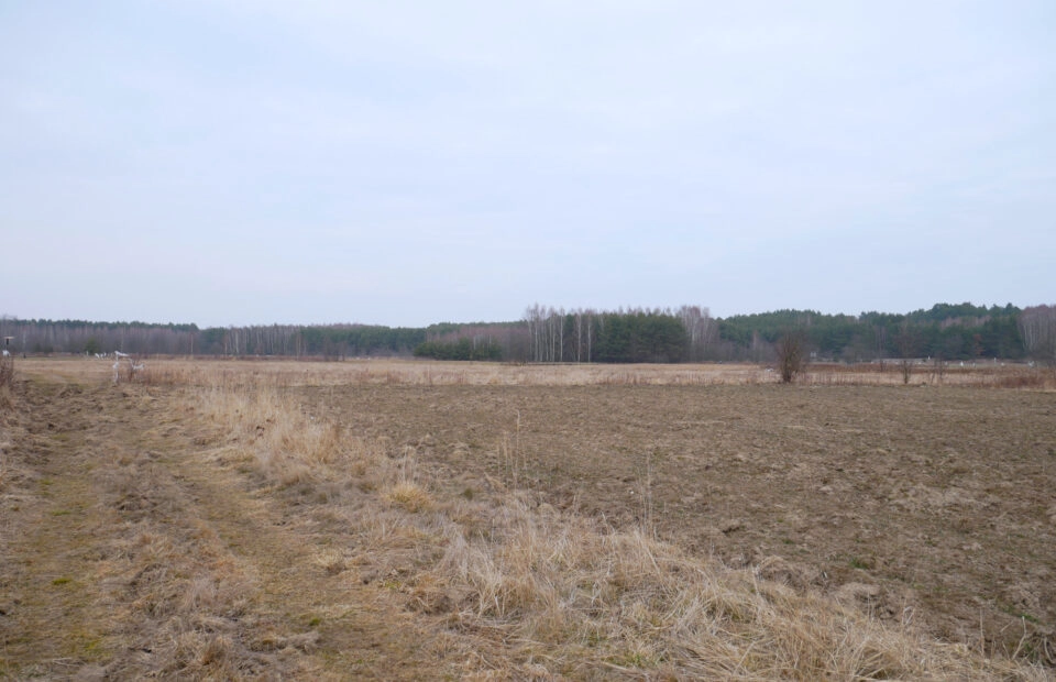 Działka 29,54 ar, Z UZYSKANYMI WARUNKAMI ZABUDOWY