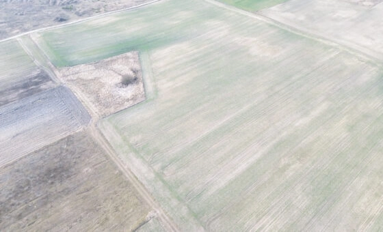 Działki budowlane na sprzedaż – Wymysłowo, Gniezno