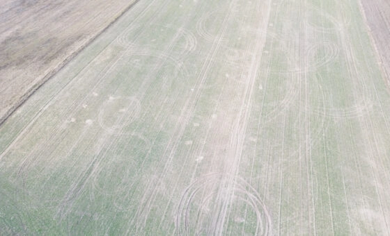 Działki budowlane na sprzedaż – Wymysłowo, Gniezno