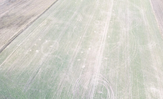 Działki budowlane na sprzedaż – Wymysłowo, Gniezno