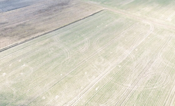 Działki budowlane na sprzedaż – Wymysłowo, Gniezno