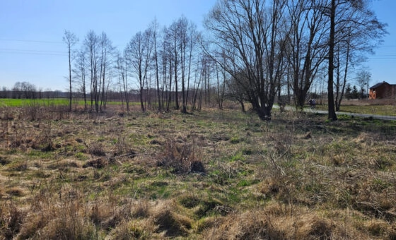 Na sprzedaż działka budowlana – 15 ar