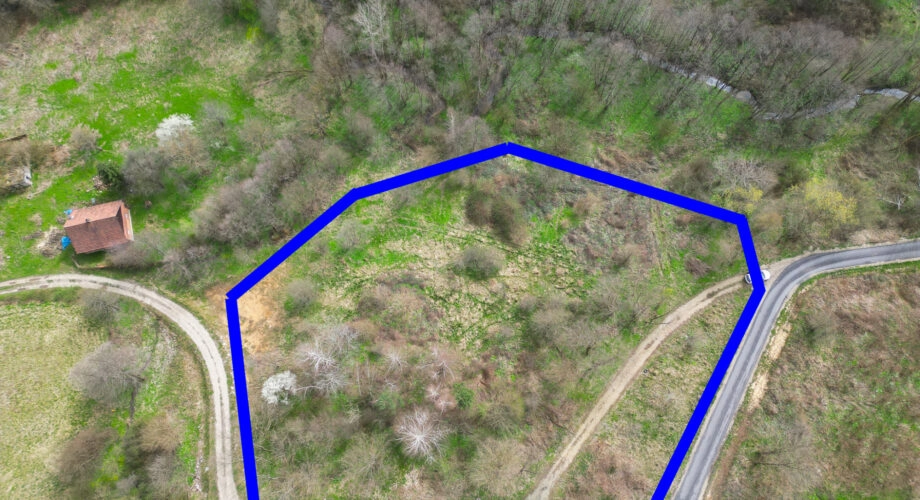 Działka w mpzp - "Prałkowce - Długie/03"