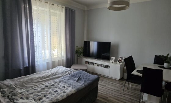 Atrakcyjne mieszkanie 115m2 Ślesin