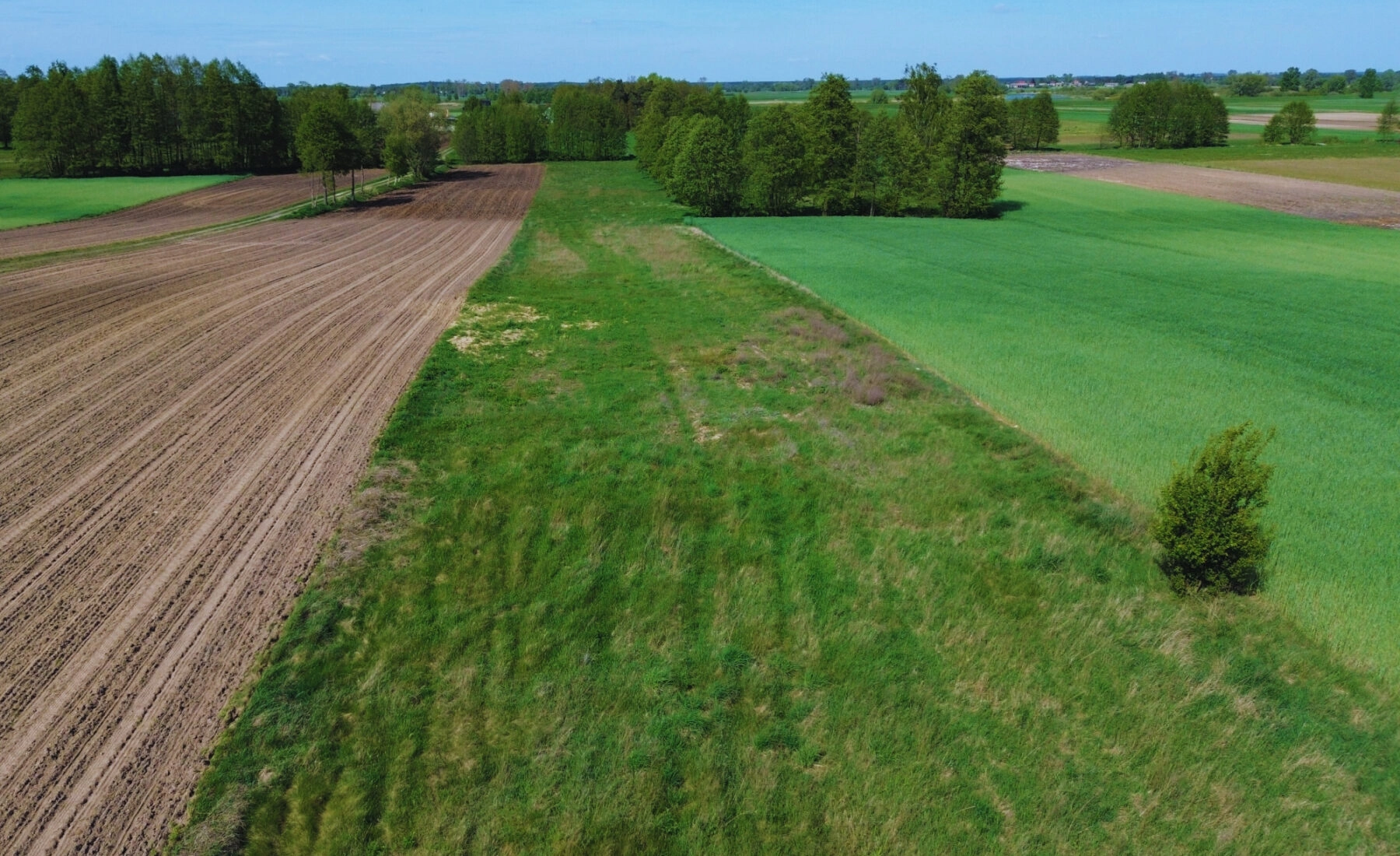 Na sprzedaż działka budowlana–Waki, gm. Kościelec