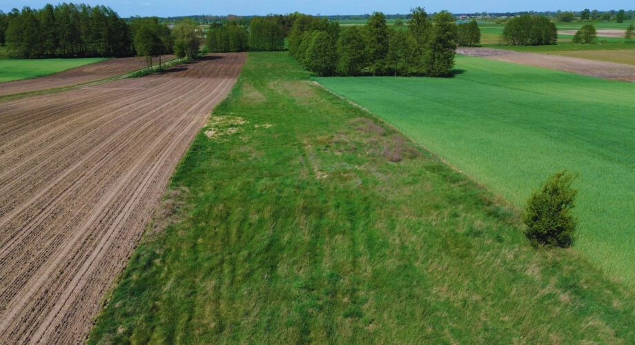Na sprzedaż działka budowlana–Waki, gm. Kościelec
