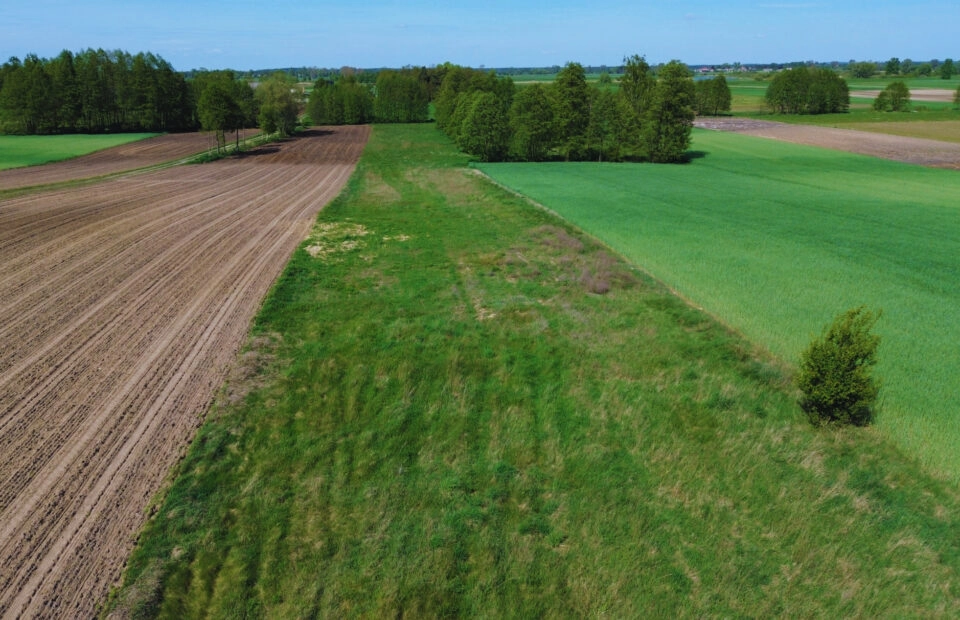 Na sprzedaż działka budowlana–Waki, gm. Kościelec
