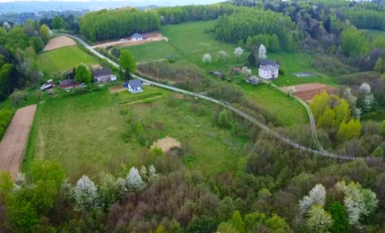 Działka budowlana w Hucie Gogołowskiej