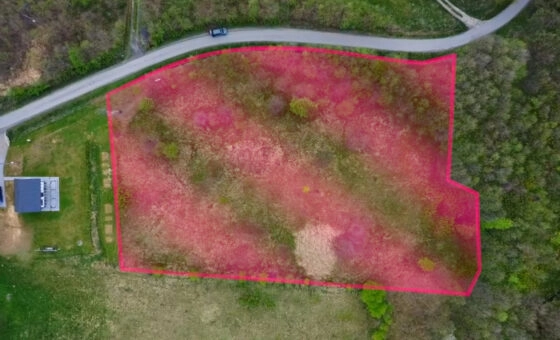 Działka budowlana w Hucie Gogołowskiej