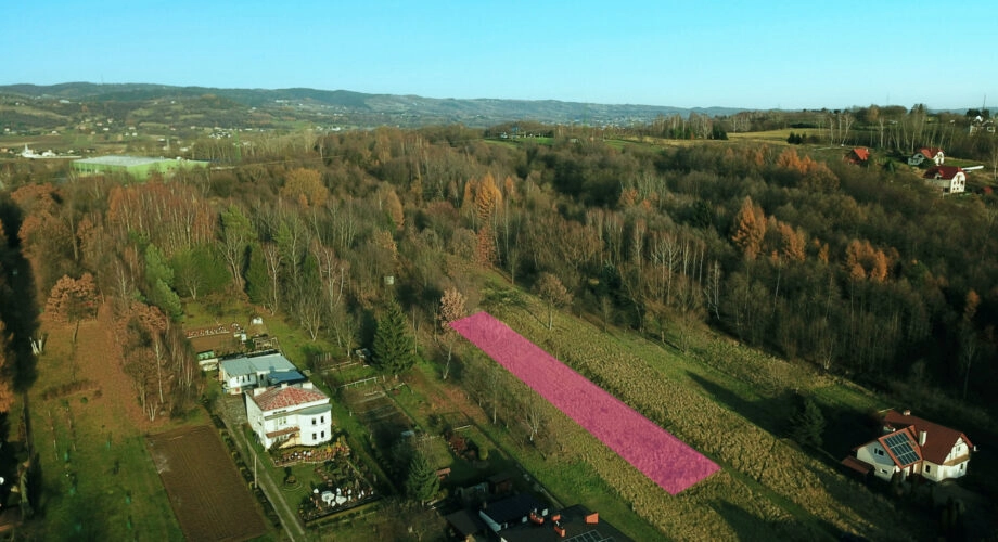 Rekreacyjna działka w Krośnie, Białobrzegi.