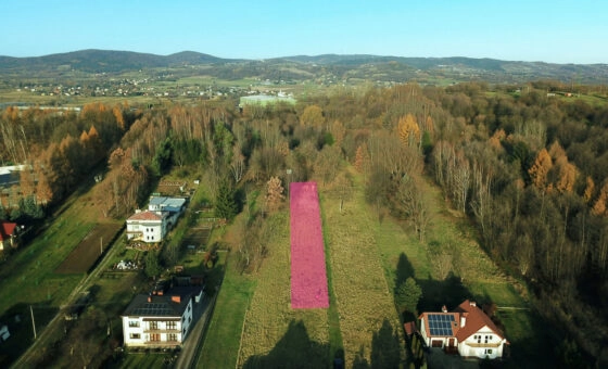 Rekreacyjna działka w Krośnie, Białobrzegi.