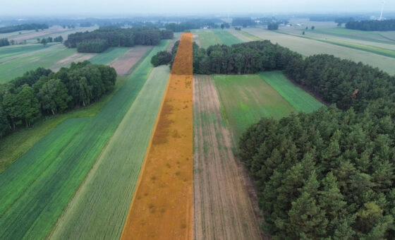 Na sprzedaż: 7 działek z MPZP – Kępina