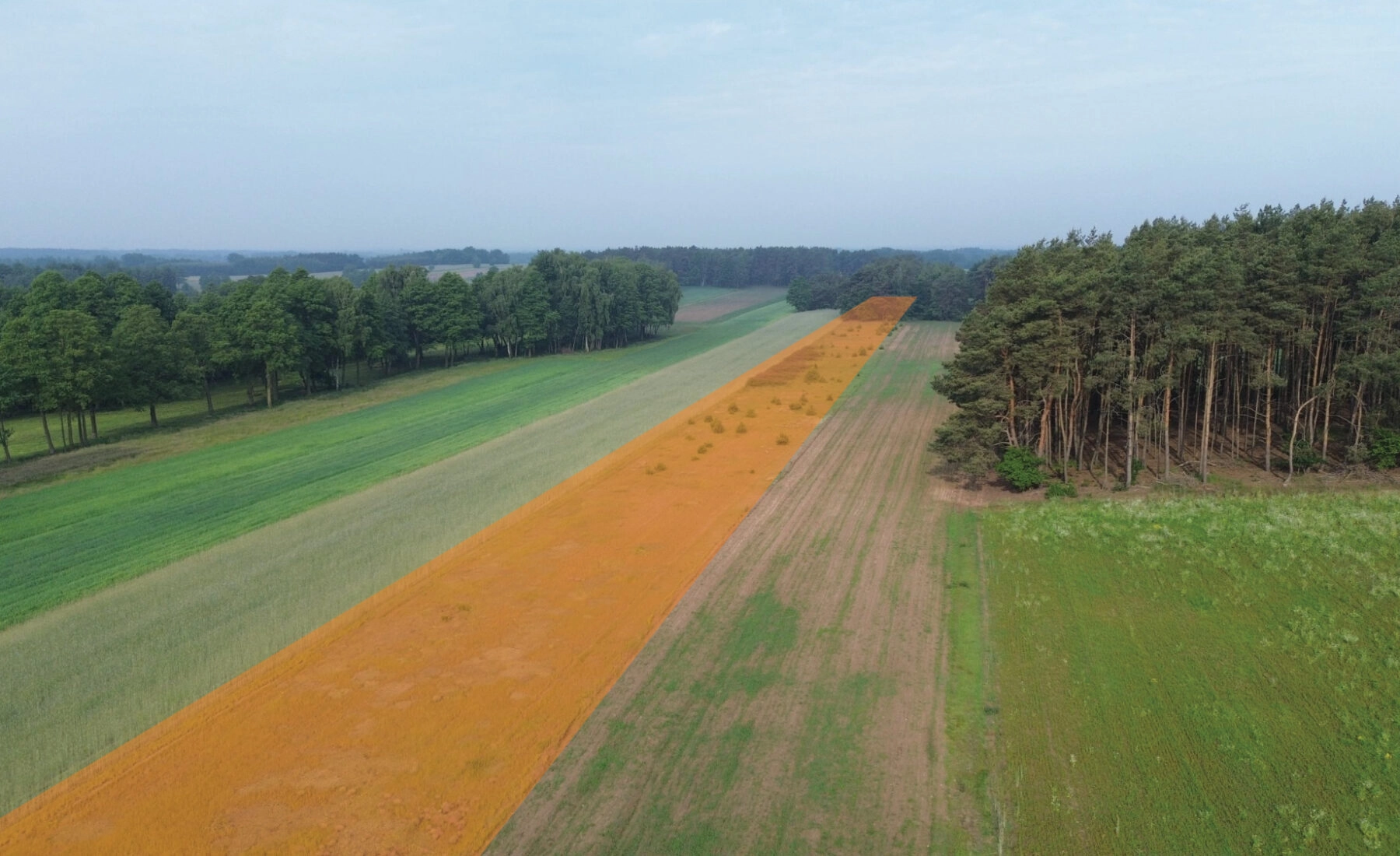 Na sprzedaż: 7 działek z MPZP – Kępina