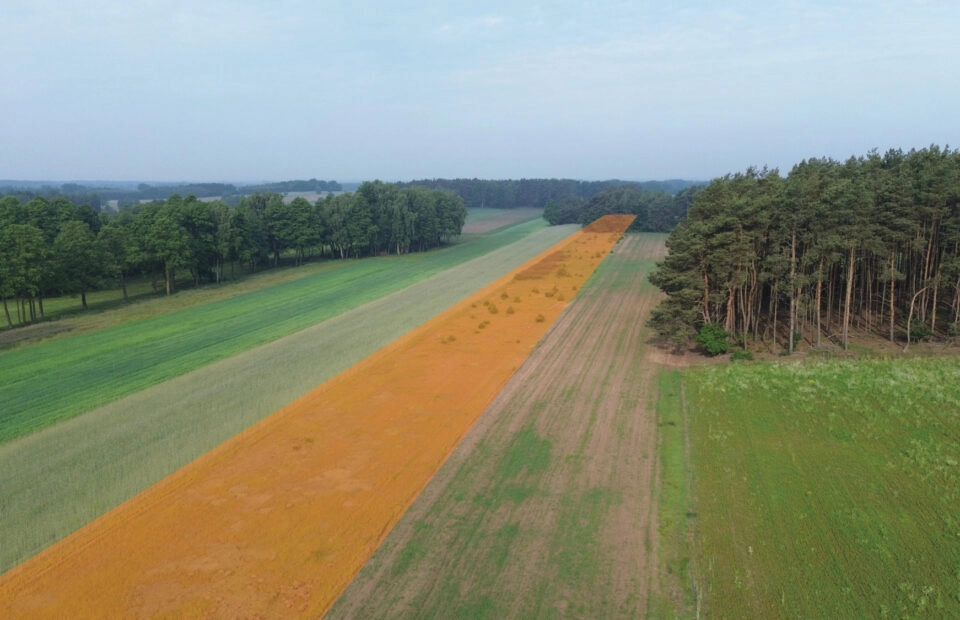 Na sprzedaż: 7 działek z MPZP – Kępina