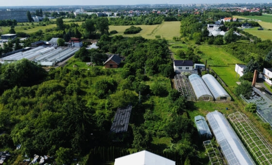 Sprzedam działkę 57 ar – Konin, Pawłówek