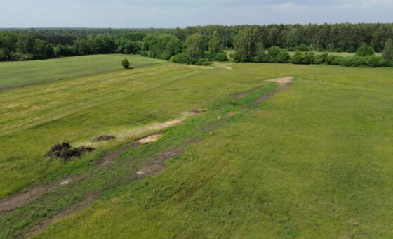 działka 12a, Naprusewo, gm. Ostrowite