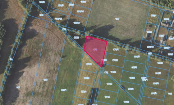 działka 19,5a, Naprusewo, gm. Ostrowite