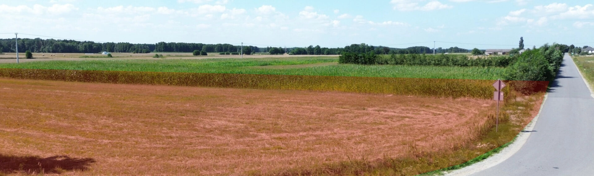 Działka budowlana – Łomów, gm. Zagórów