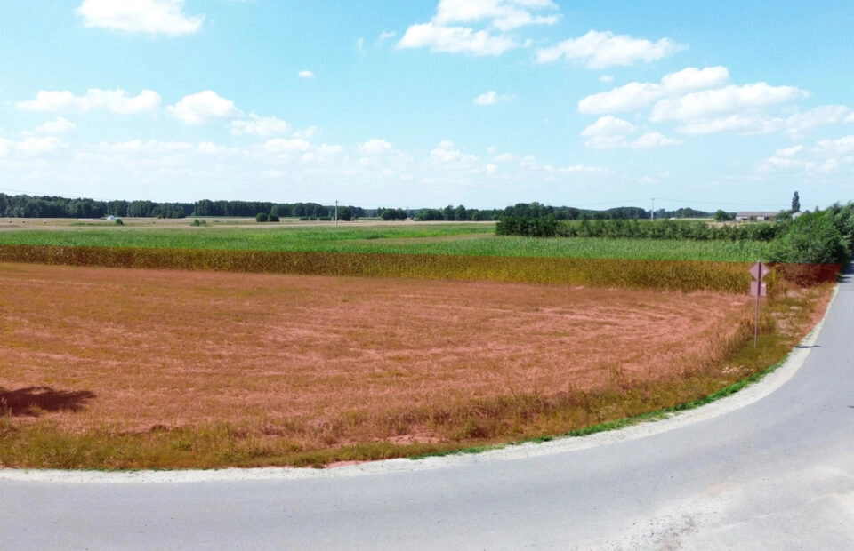 Działka budowlana – Łomów, gm. Zagórów