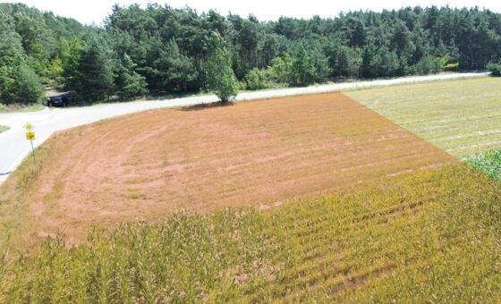 Działka budowlana – Łomów, gm. Zagórów