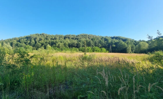 Działka 73 ary – zabudowa jednorodzinna, Mników