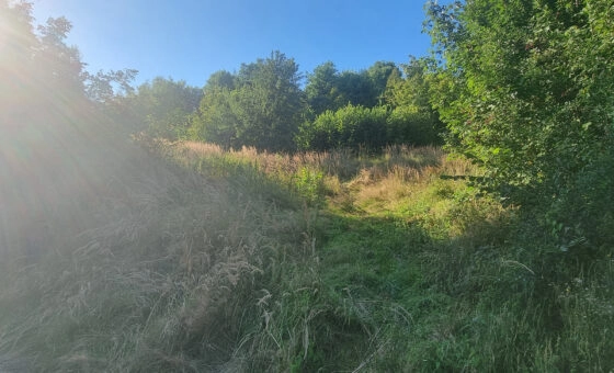 Działka budowlana 23a - Rybna, gm. Czernichów