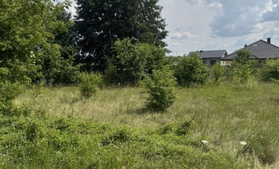 Brużyczka Mała / Aleksandrów działka bud. 1.442 m2