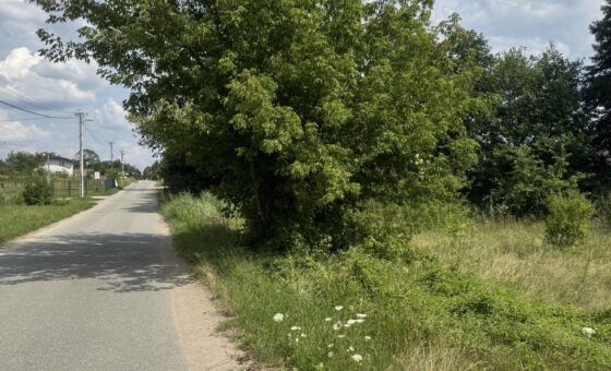 Brużyczka Mała / Aleksandrów działka bud. 1.442 m2