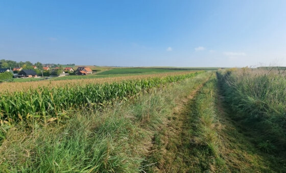 Działka budowlana- Raciborowice, gm. Michałowice