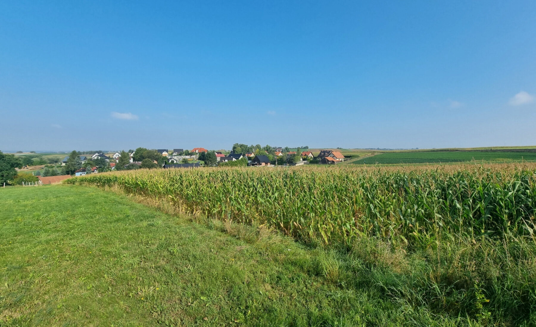 Działka budowlana- Raciborowice, gm. Michałowice
