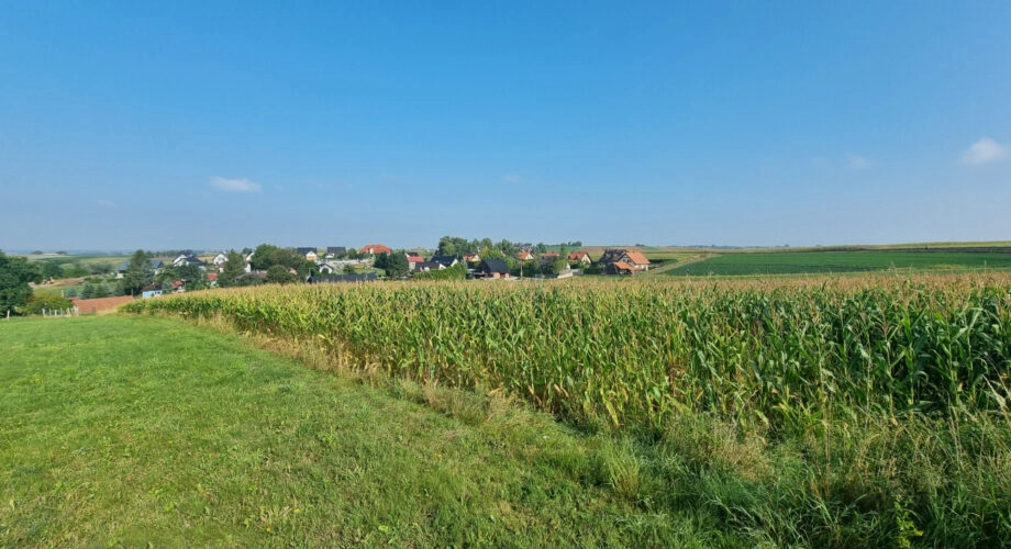 Działka budowlana- Raciborowice, gm. Michałowice