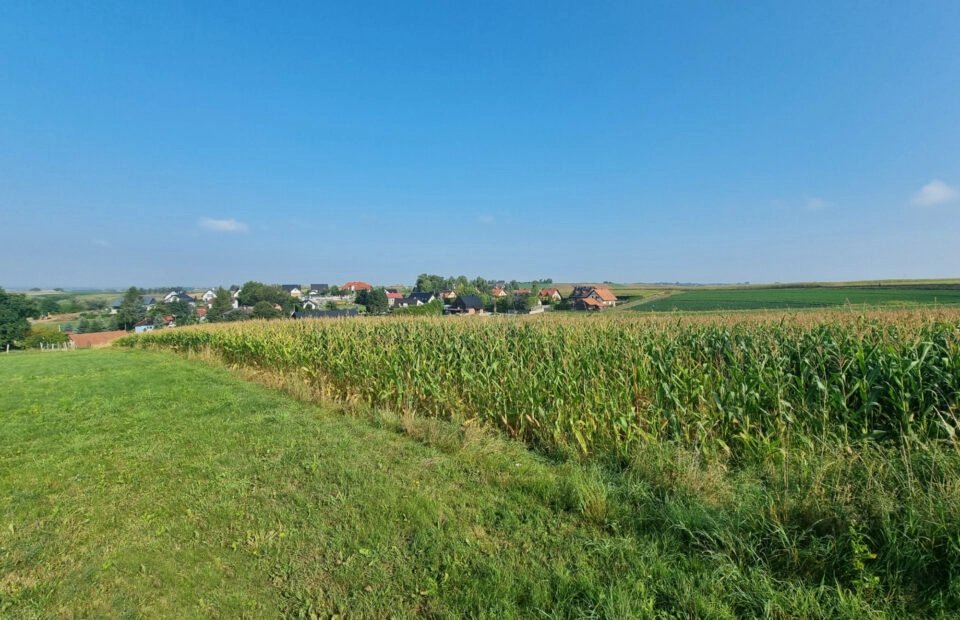 Działka budowlana- Raciborowice, gm. Michałowice