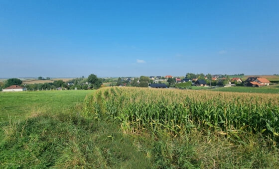 Działka budowlana- Raciborowice, gm. Michałowice