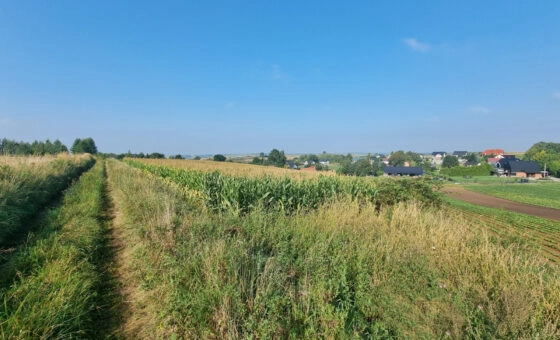 Działka budowlana- Raciborowice, gm. Michałowice