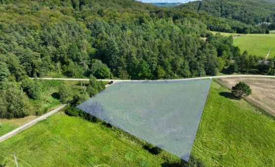 Działka 61,90 a, w Grabownicy Starzeńskiej.