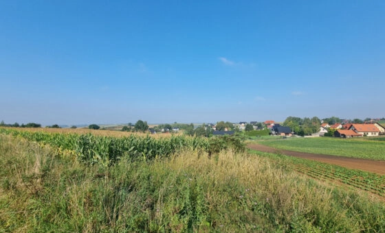 Działka budowlana- Raciborowice, gm. Michałowice