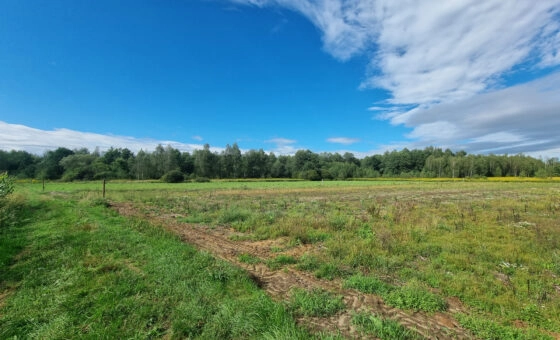 Działka inwestycyjna Czernichów 3,86 ha
