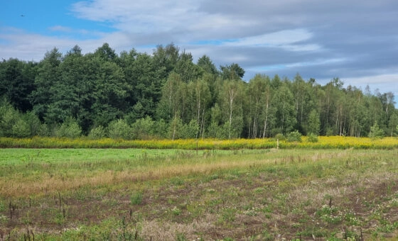 Działka inwestycyjna Czernichów 3,86 ha